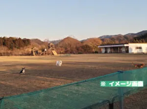 さぬき動物霊園 ドッグラン
