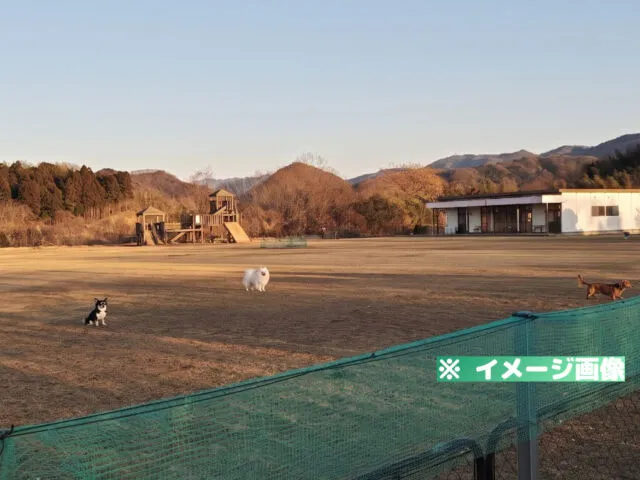 さぬき動物霊園 ドッグラン