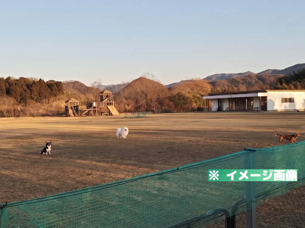 さぬき動物霊園 ドッグラン