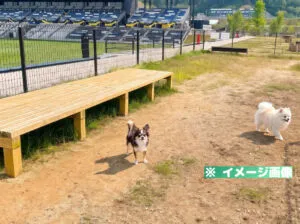 アシックス里山スタジアム 里山ドッグラン
