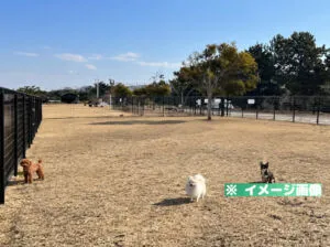 せんなん里海公園 ドッグラン