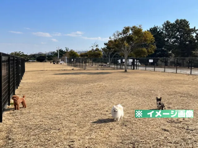 せんなん里海公園 ドッグラン