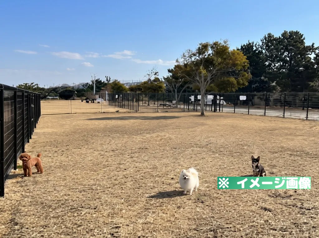 せんなん里海公園 ドッグラン