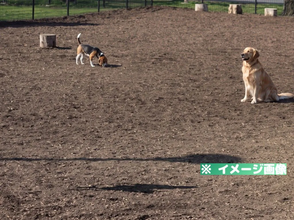 篠崎公園ドッグラン