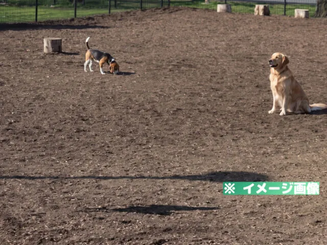 篠崎公園ドッグラン