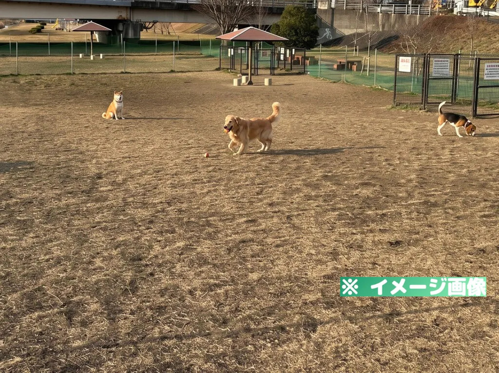 重信川樋口公園ドッグランのイメージ画像