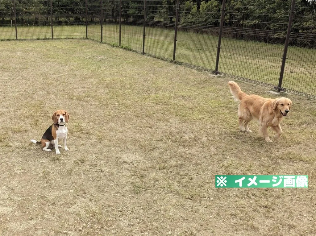 鹿公園ドッグラン