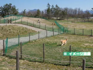 島見緑地ドッグランのイメージ画像