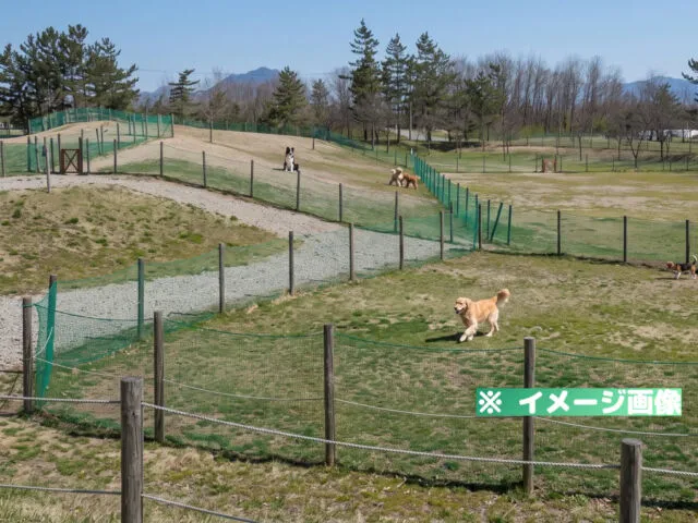 島見緑地ドッグラン