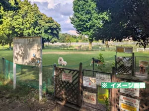 蘇南公園 ドッグラン広場