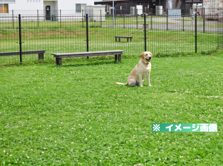 空のえき「そ・ら・ら」ドッグラン