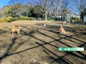 杉並区立ドッグラン広場