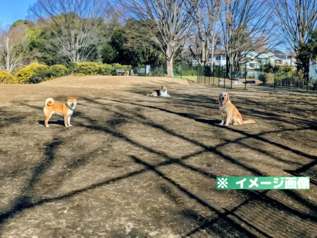 杉並区立ドッグラン広場