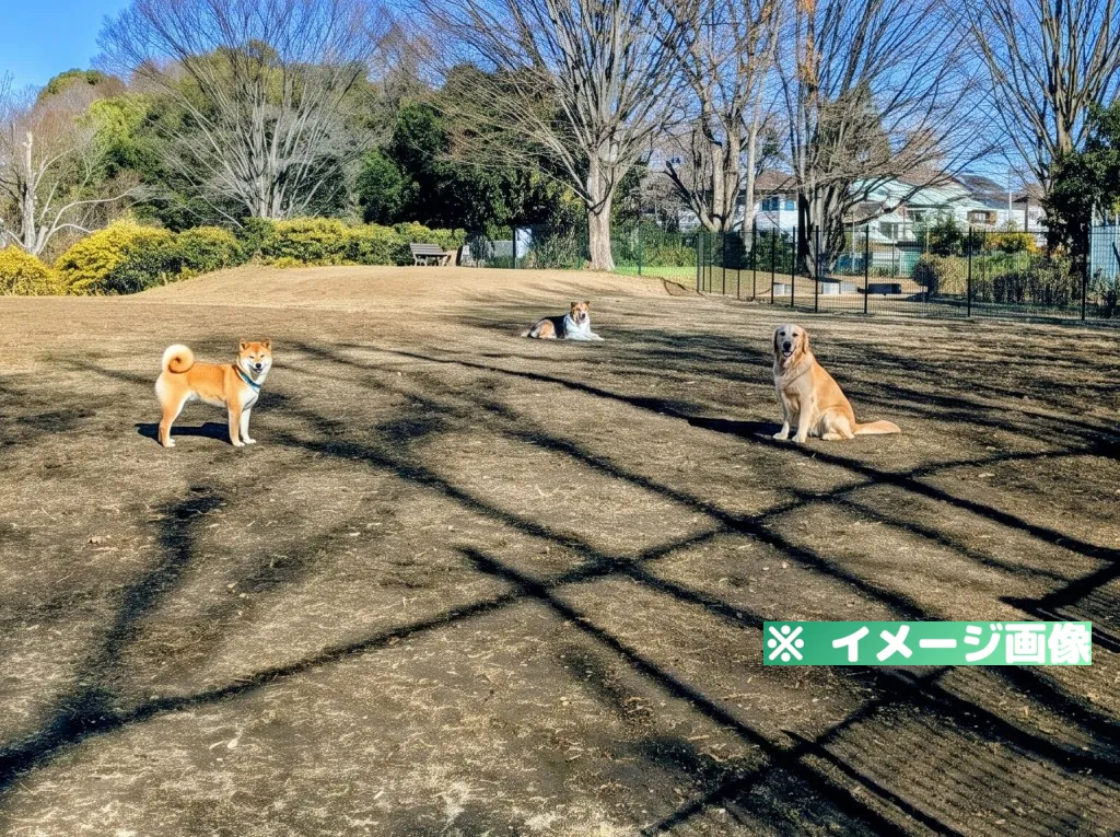 杉並区立ドッグラン広場