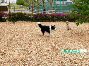 隅田公園 ペットコミュニティエリア