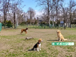 ドッグ・ラン砂川（北光公園）のイメージ画像