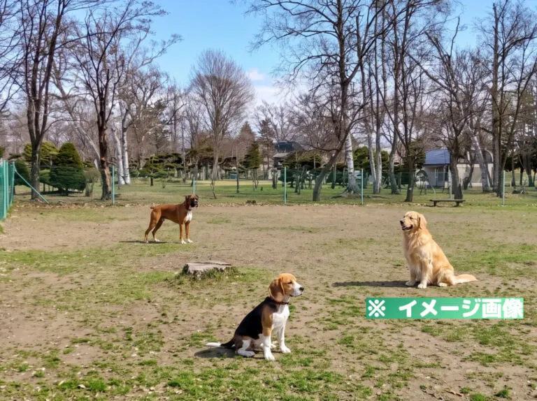 ドッグ・ラン砂川（北光公園）