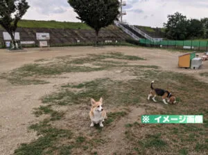 庄内緑地 ドッグラン