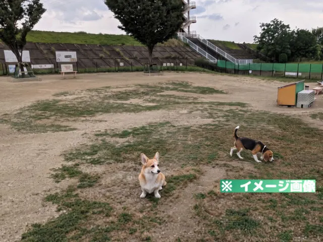 庄内緑地 ドッグラン