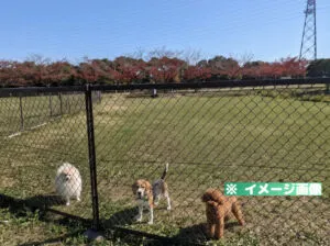 垂水健康公園 ドッグラン