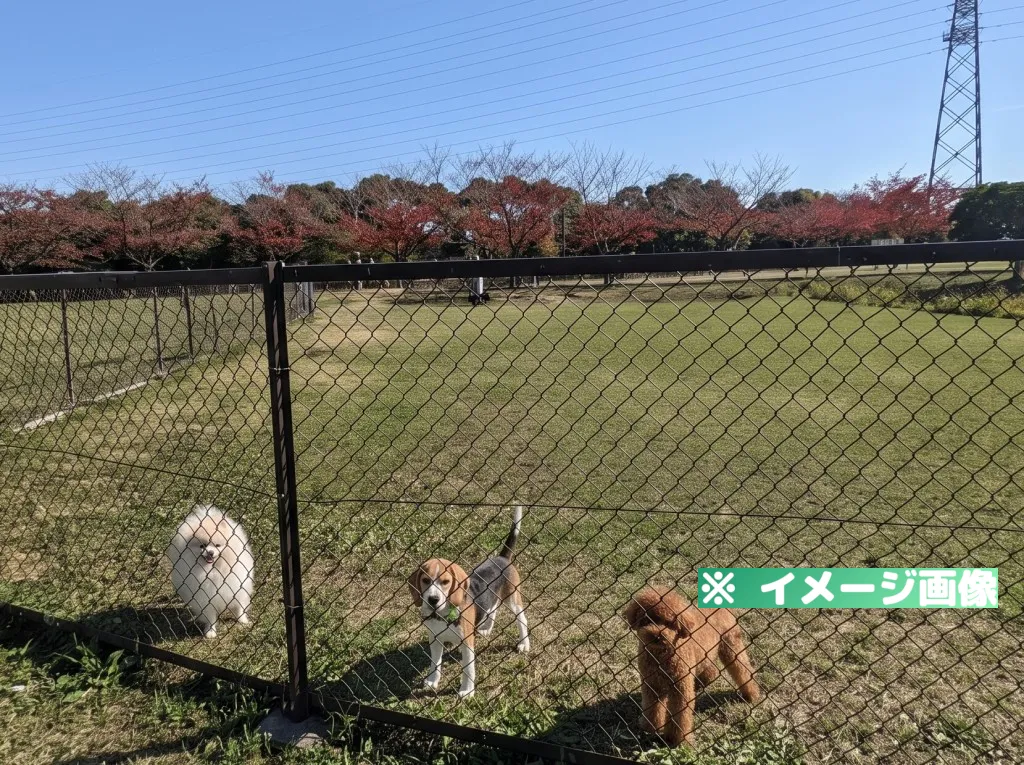 垂水健康公園 ドッグラン