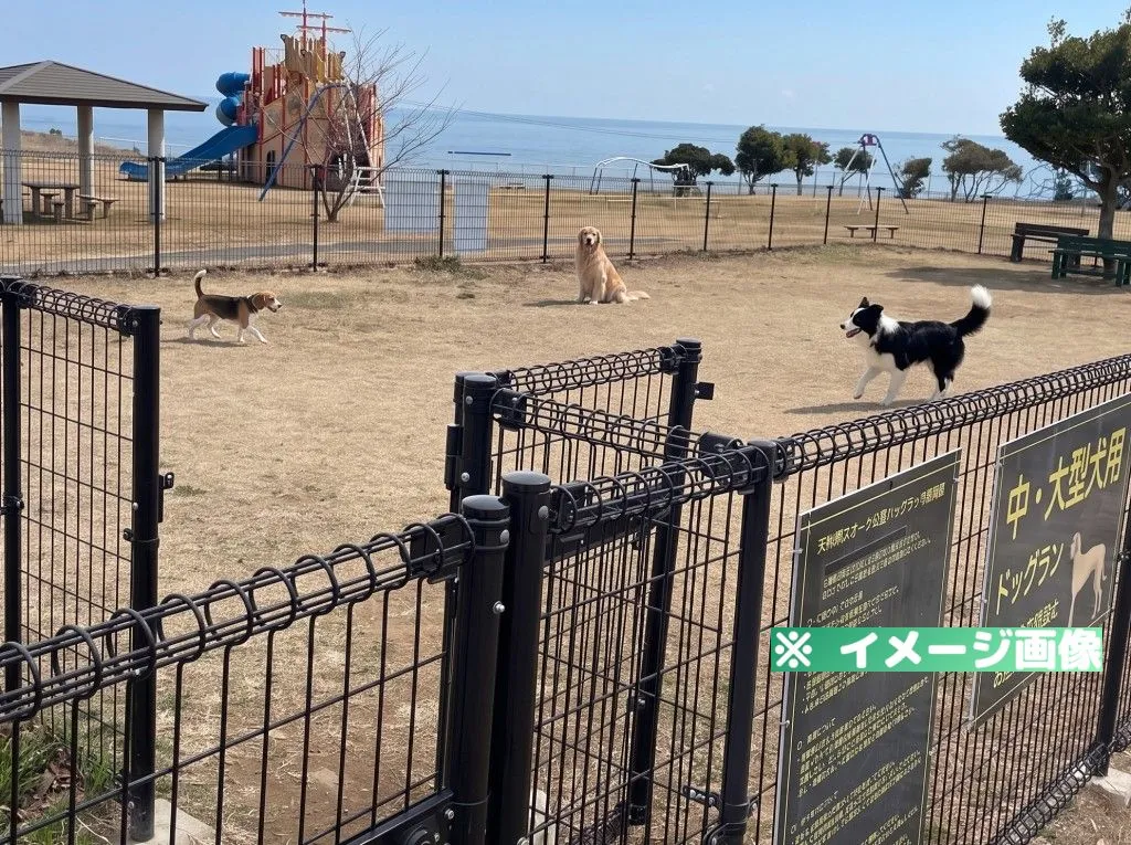 天神岬スポーツ公園 ドッグラン