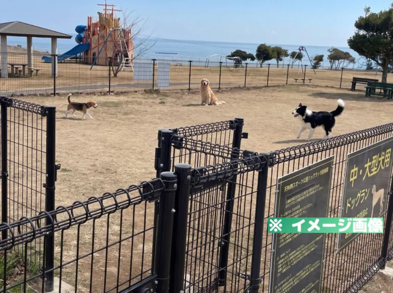 天神岬スポーツ公園 ドッグラン
