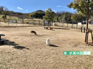 東部公園 ドッグラン