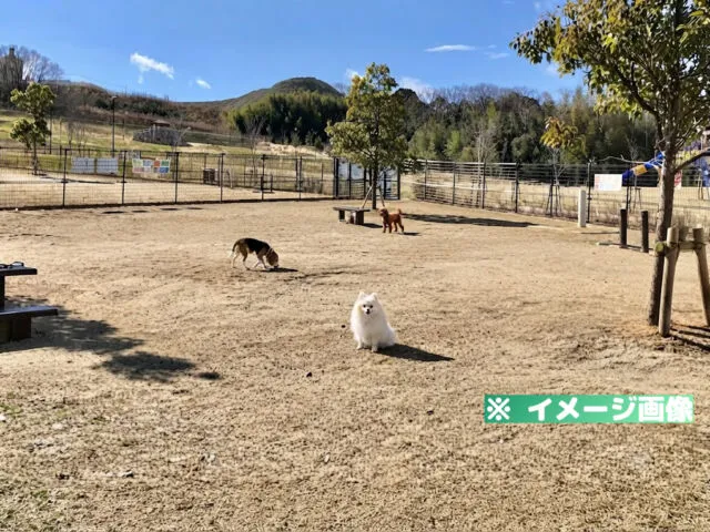 東部公園 ドッグラン