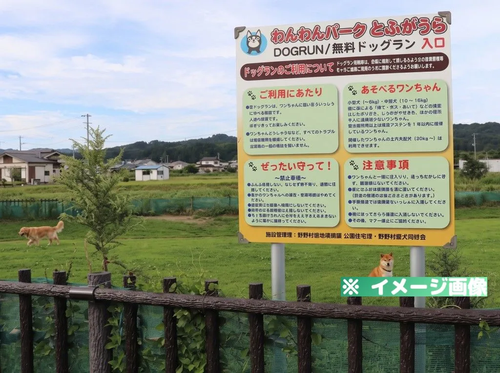 十府ヶ浦公園ドッグラン(わんわんパークとふがうら)