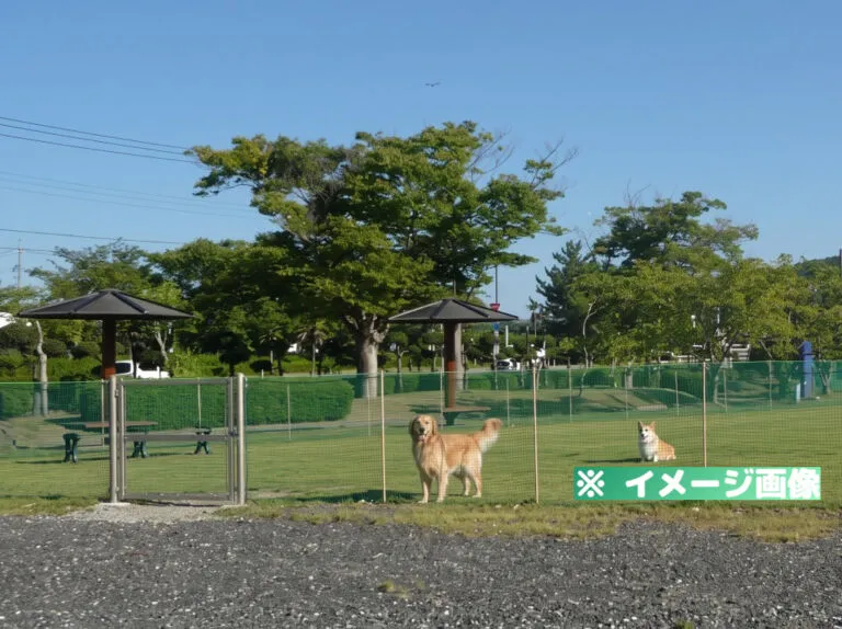 東郷湖羽合臨海公園 ドッグラン