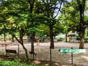 所沢航空記念公園ドッグランのイメージ画像