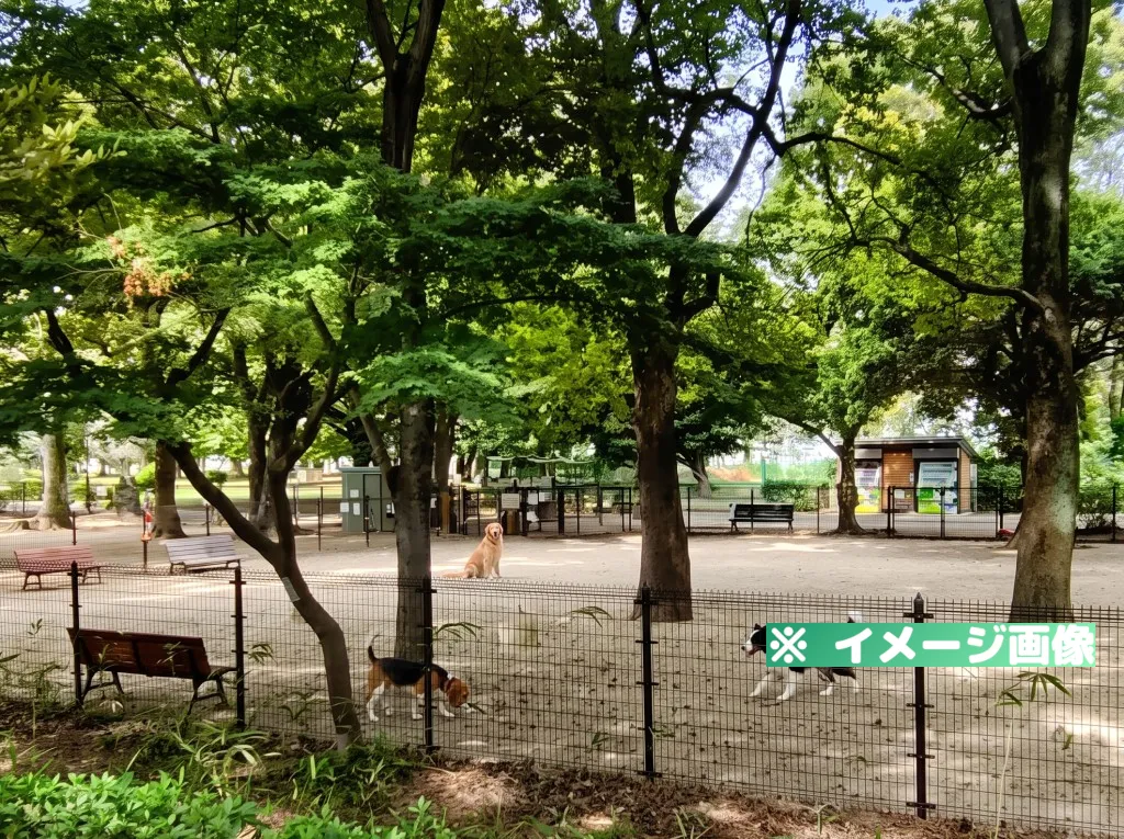 所沢航空記念公園ドッグランのイメージ画像