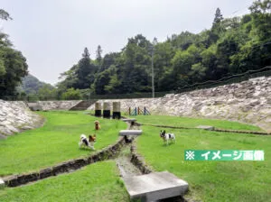 徳島県動物愛護管理センター ドッグラン