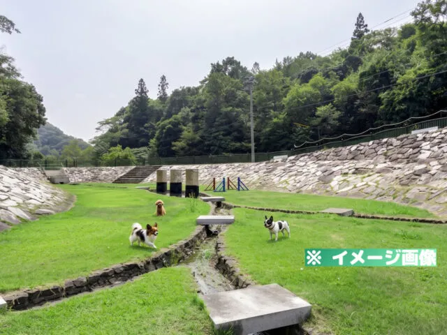徳島県動物愛護管理センター ドッグラン