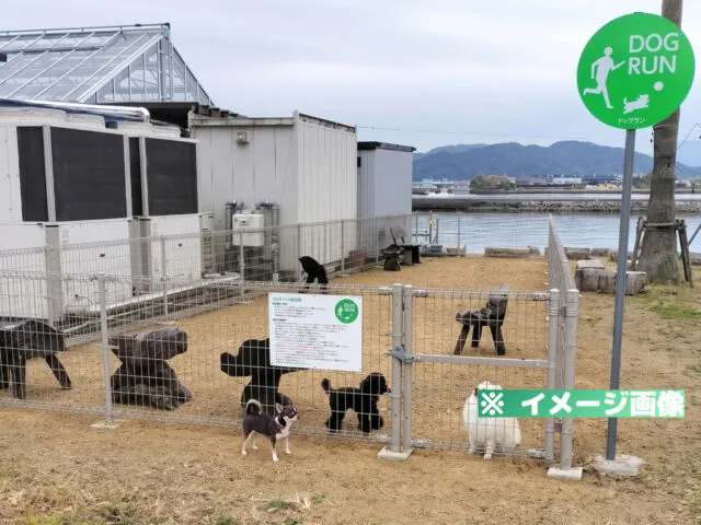 徳島新鮮なっとく市 ドッグラン