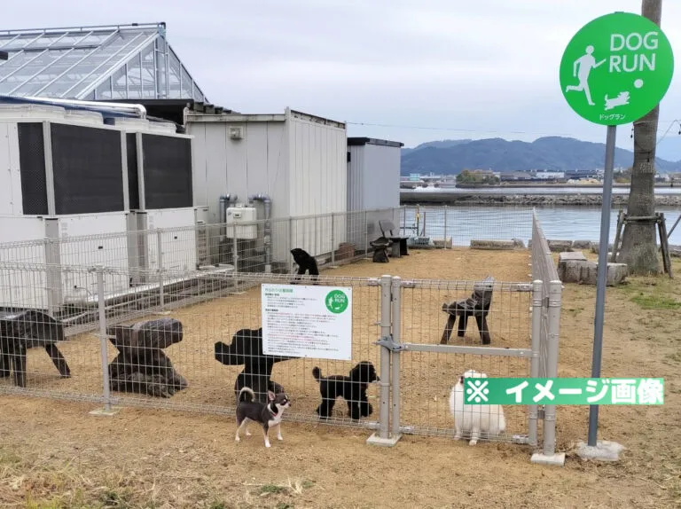 徳島新鮮なっとく市 ドッグラン