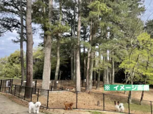 とくしま植物園ドッグラン