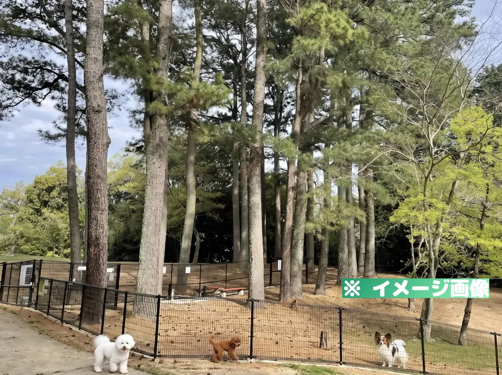 とくしま植物園ドッグラン
