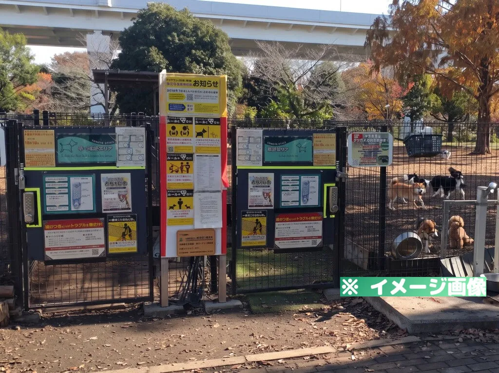 舎人公園ドッグラン