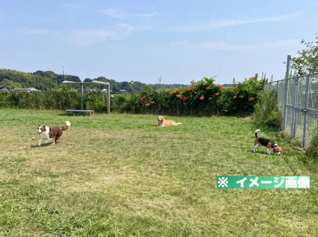 利根町営ドッグラン