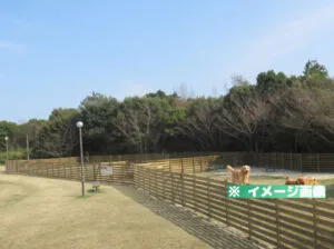 土佐清水総合公園 ドッグランのイメージ画像