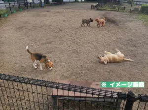 豊田上郷サービスエリア（上り）ドッグランのイメージ画像
