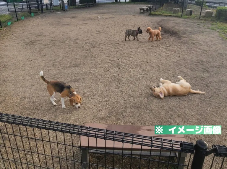 豊田上郷サービスエリア（上り）ドッグラン