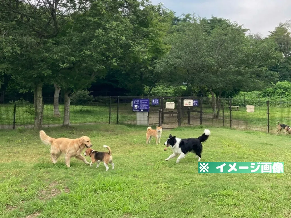 長者原サービスエリア（下り）ドッグラン