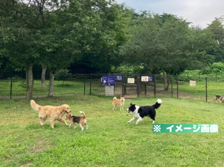 長者原サービスエリア（下り）ドッグラン