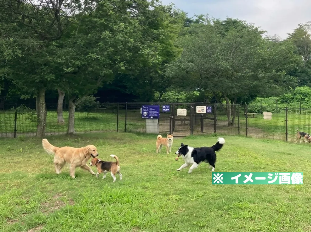 長者原サービスエリア（下り）ドッグランのイメージ画像