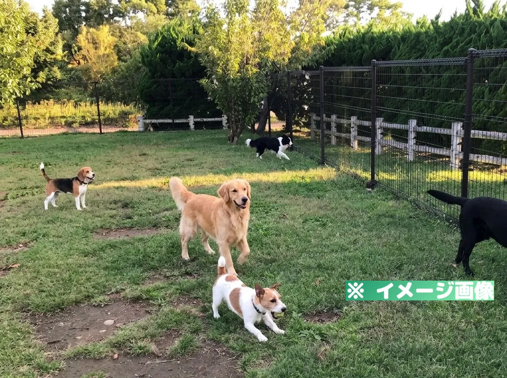 有珠山サービスエリア（上り）ドッグラン