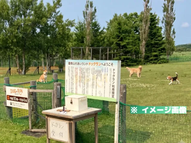 稚内市動物ふれあいランド ドッグラン