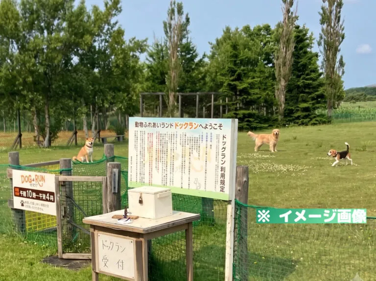 稚内市動物ふれあいランド ドッグラン